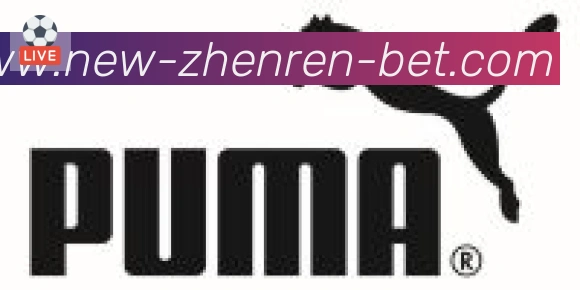 PT真人合作伙伴